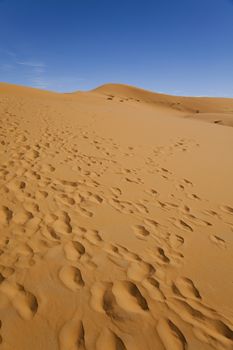 Sand background, colorful vibrant travel theme