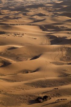 Sandscapes in the desert, colorful vibrant travel theme