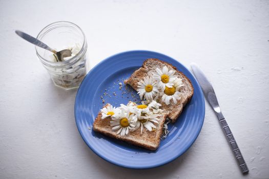 Ox-eye daisies on toast on a rustic white counter top