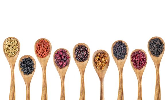 nine healthy dried berry collection (blueberry, mulberry, cherry, goji, elderberry, chokeberry, cranberry, goldenberry) on isolated wooden spoons, top view