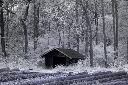 Infrared photography of a hut