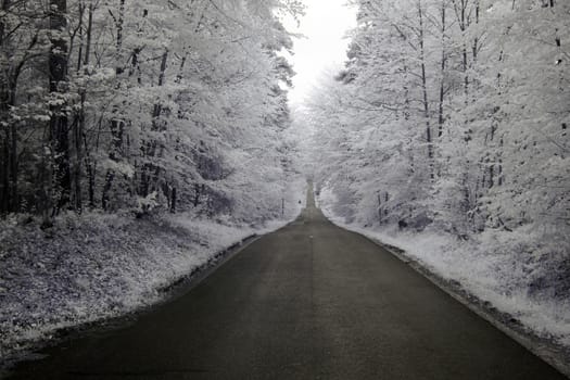 Infrared photography of a road