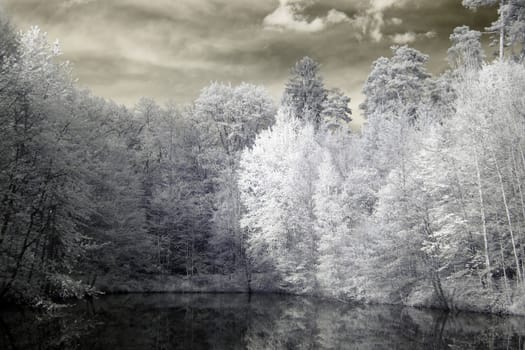 Infrared photography of a lake