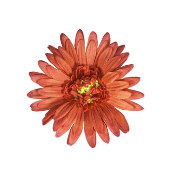 Red artifical flower isolated on white with clipping path