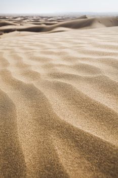 Dunes, wonderful saturated travel theme