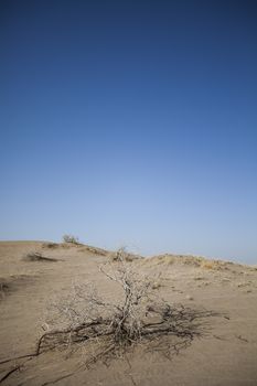 Desert dunes in Iran, wonderful saturated travel theme