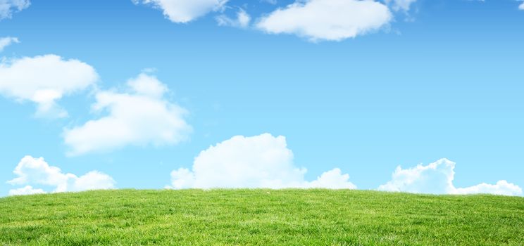 Field and sky with copy space