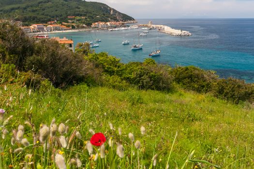 The village of Marciana Marina on Elba island. Coast in Tuscany, Italy