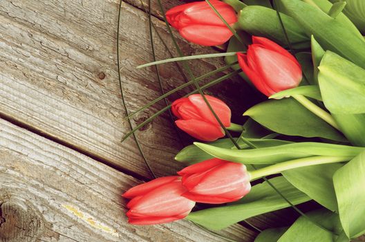 Border of Five Spring Red Tulips with Green Grass isolated on Rustic Wooden background