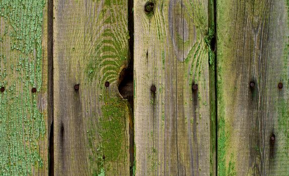 Natural Weathered Cracked Wooden Background with Timber Knots and Old Nails closeup