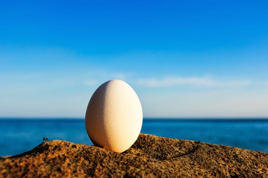 Hen's egg on the sea boulder
