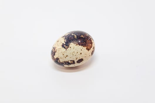 Quail egg exempted against white background.