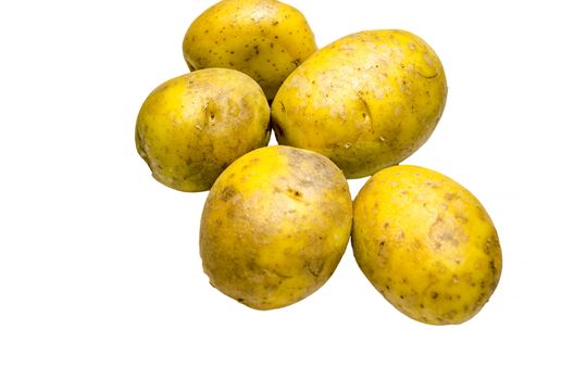 Five potatoes, side by side against a plain white background.