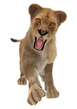 3D digital render of a female lion isolated on white background