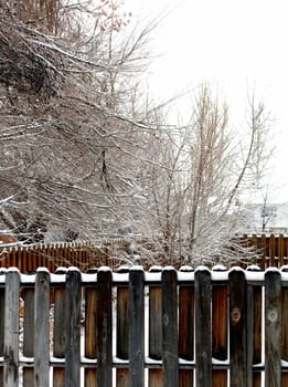 Winter snow scene displayed outdoors.