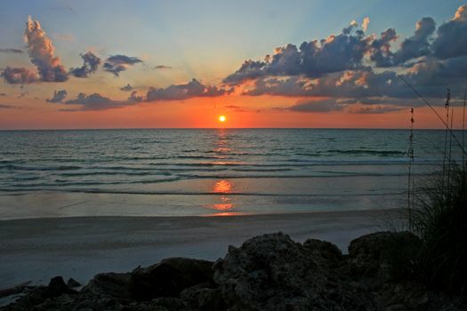 A sunset over the ocean with reeds and rocks