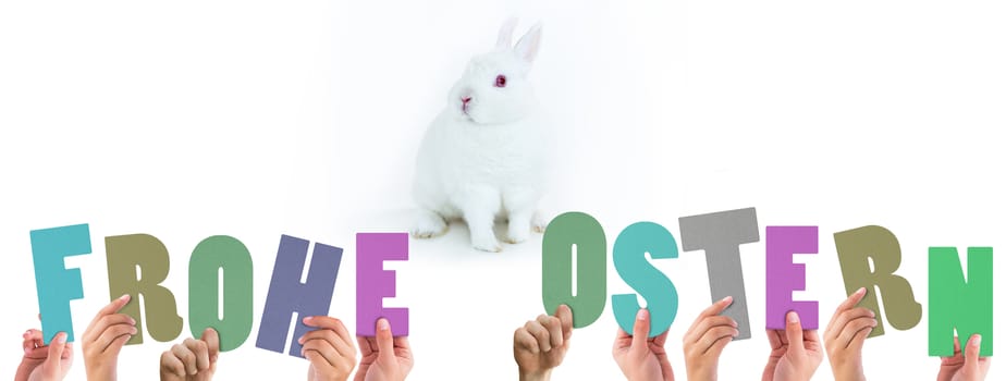 Hands holding up frohe ostern against white bunny facing camera