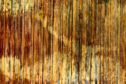 The Brown Wood Texture With Natural Patterns