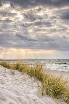 Picture of the coast of the Baltic Sea on a stormy day with dune grass and dark clouds in the evening