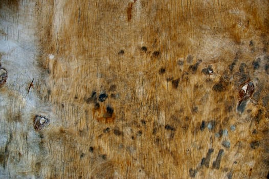 The Brown Wood Texture With Natural Patterns