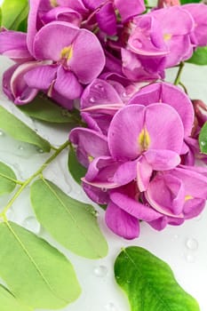 Particular of colorful flowers with drops of water