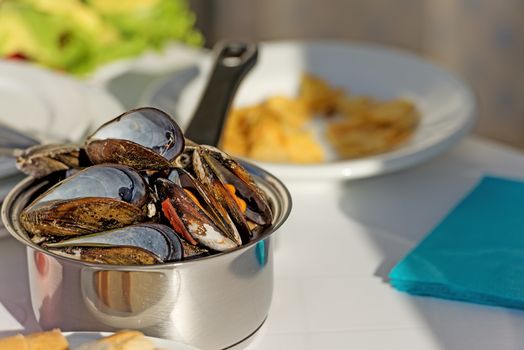 Pot of gourmet mussels garnished with fresh herbs for a tasty seafood meal