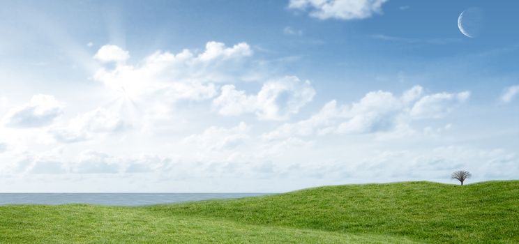 Field and sky with copy space