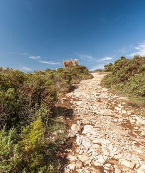 Istria, Croatia. rocky path in the mountains on a sunny day