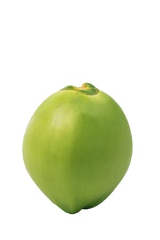 Fresh coconut di-cut on white background, Fruit isolated