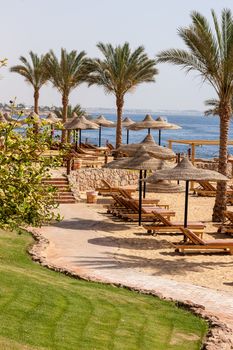 Palm alley on egyptian sand beach, umbrellas and sun loungers and  view at Red Sea. Egypt