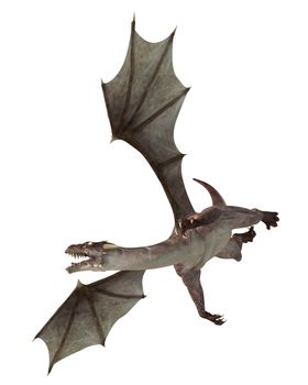 3D digital render of a soaring fantasy dragon isolated on white background