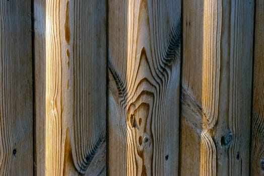 The Brown Wood Texture With Natural Patterns