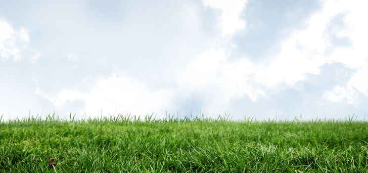 Field and sky with copy space