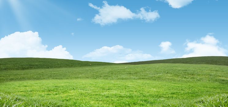 Field and sky with copy space