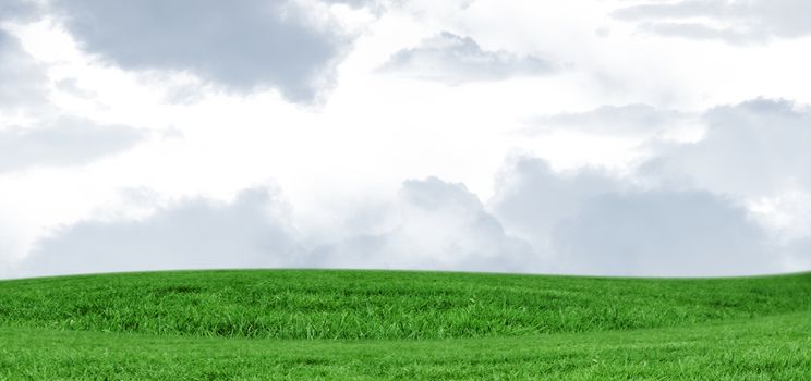 Field and sky with copy space