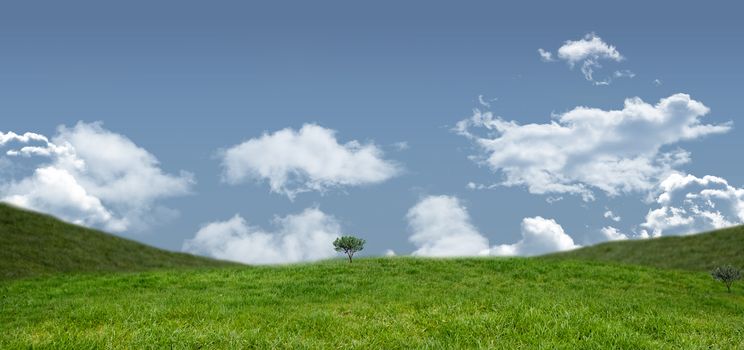 Field and sky with copy space