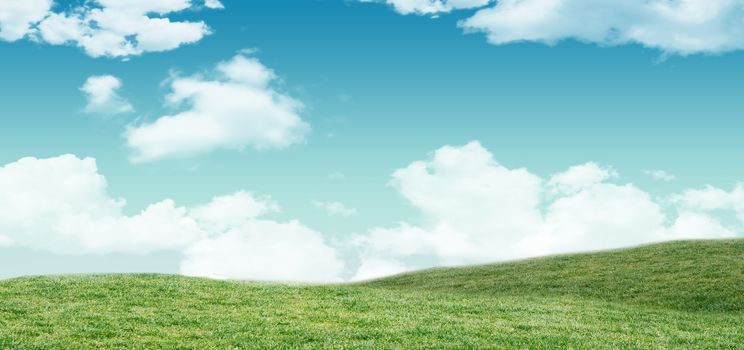 Field and sky with copy space