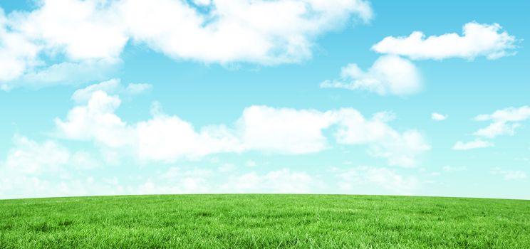 Field and sky with copy space