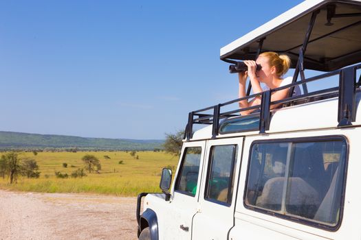 Young blond lady on safari standing in open roof jeep observing wild animals through binoculars.