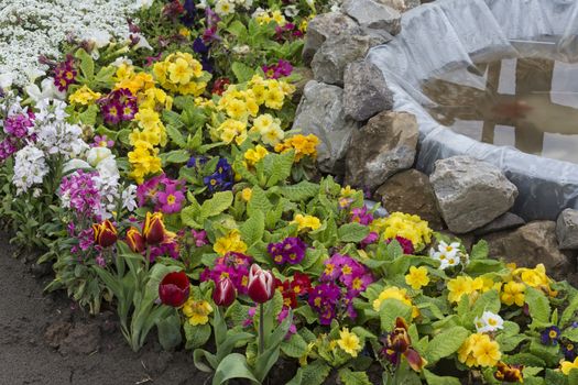 Bunch of flowers planted near the fish pool