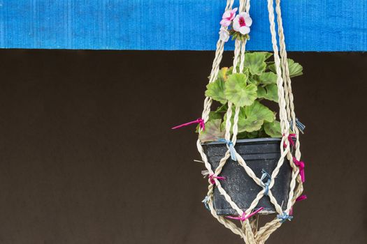 Close up view of  flower vase hanged on brown wall.