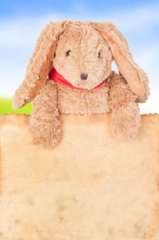 Rabbit, holding old grunge canvas fabric burn edge for happy easter eggs festival on white background