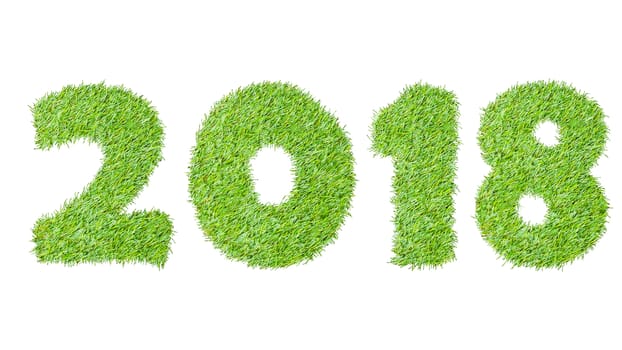 2018, New year made from the green grass, isolated on white can use as abstract background