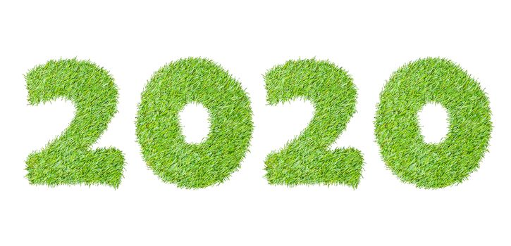 2020, New year made from the green grass, isolated on white can use as abstract background