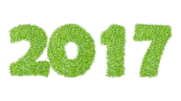 2017, New year made from the green grass, isolated on white can use as abstract background