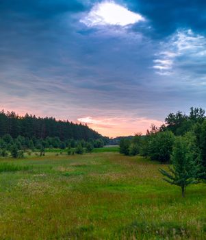 Glade green wood and blue sky with clouds. Ukraine