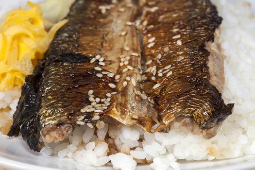San-ma fish Grilled fish with rice