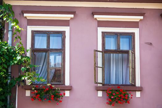 Sighisoara, Romania - June 23, 2013: Pink facade with windows and flowers from Sighisoara city old center, Transylvania, Romania