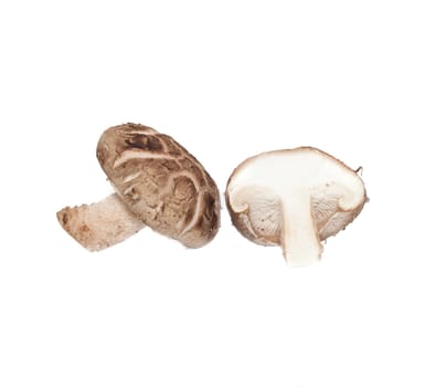 Fresh mushrooms  isolated on white background
