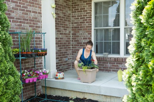 Woman tending to newly potted ornamental spring plants on her patio kneeling alongside a large flowerpot on a cement patio in front of the brick wall of her home, view between two cypress trees